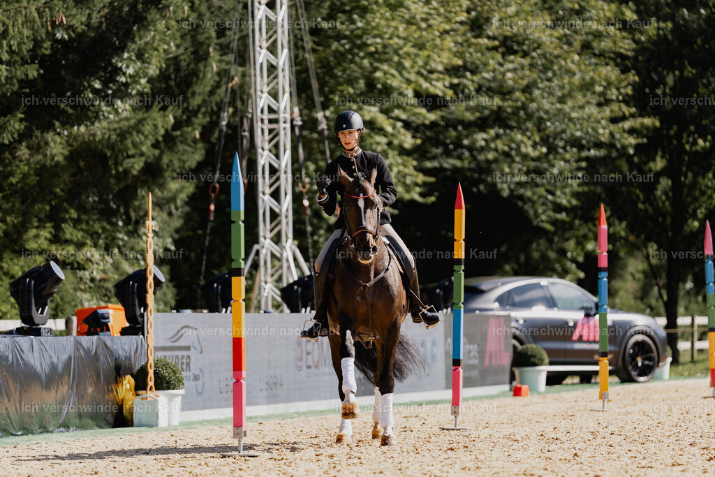 Virginie12FHC2025-09115 | working equitationturnier fotograf videograf stoibphotography marixx film working equitation deutschland reitsport turnierfotografie eventfotografie equestrian events