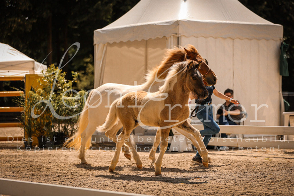 02.DoSR00015 | Leoni Ertmer Photography - Realisiert mit Pictrs.com