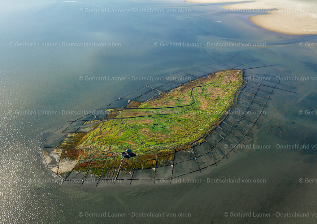 2581385 | Vogelschutzgebiet Hallig Norderoog, Nationalpark Schleswig-Holsteinisches Wattenmeer