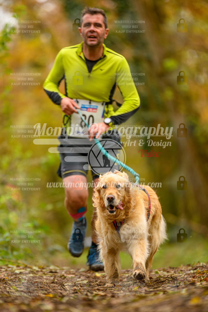 MompixPhotography_Bischwiller24_SA_Canicross-117 | PayLife