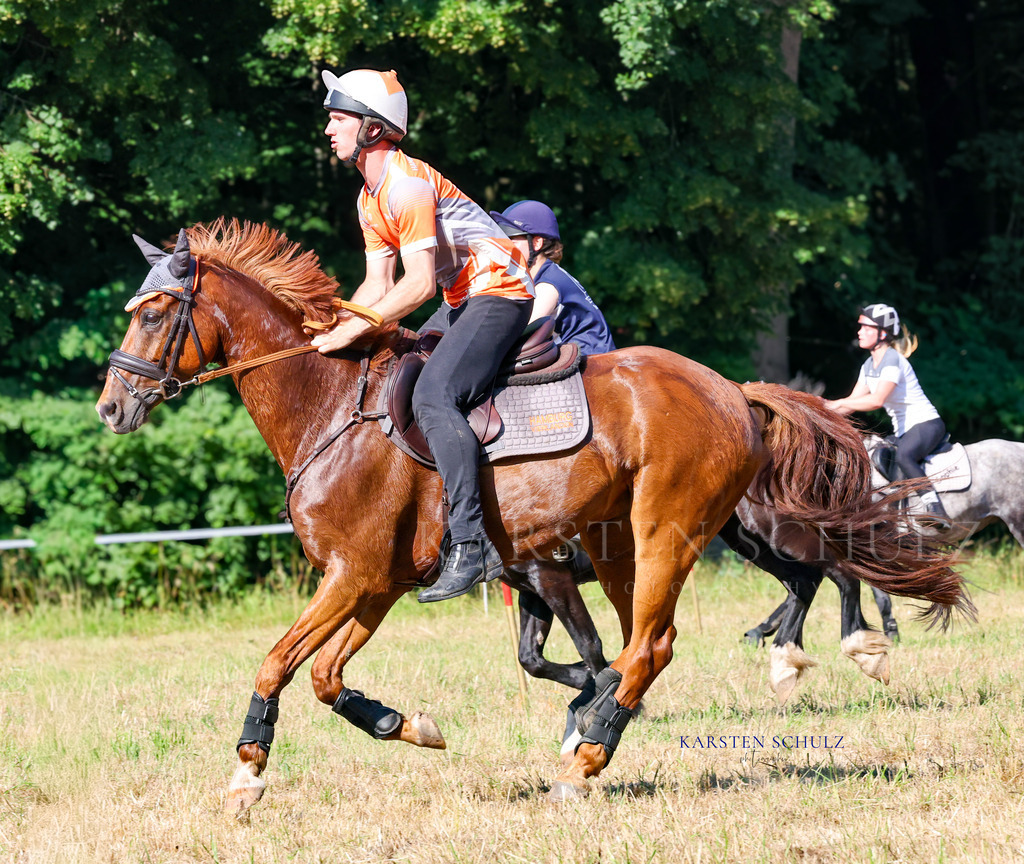 1B3A8257 | Reitsport Reiten