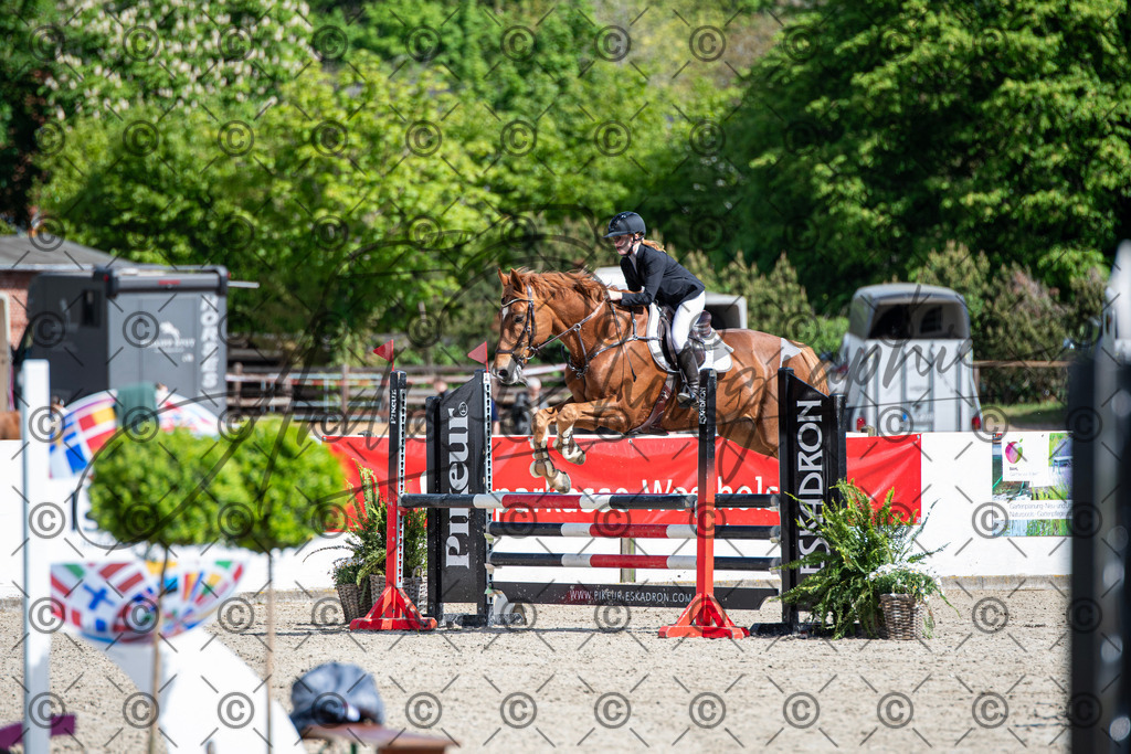 KPT_4908 | andre_photographic