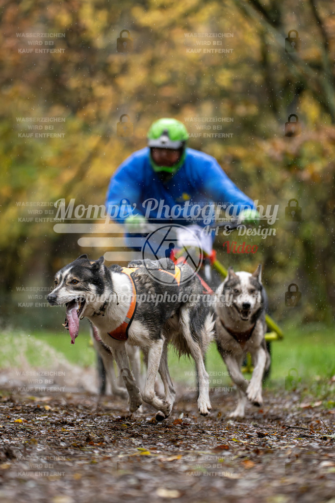 MompixPhotography_Bischwiller23_Kart-10 | PayLife