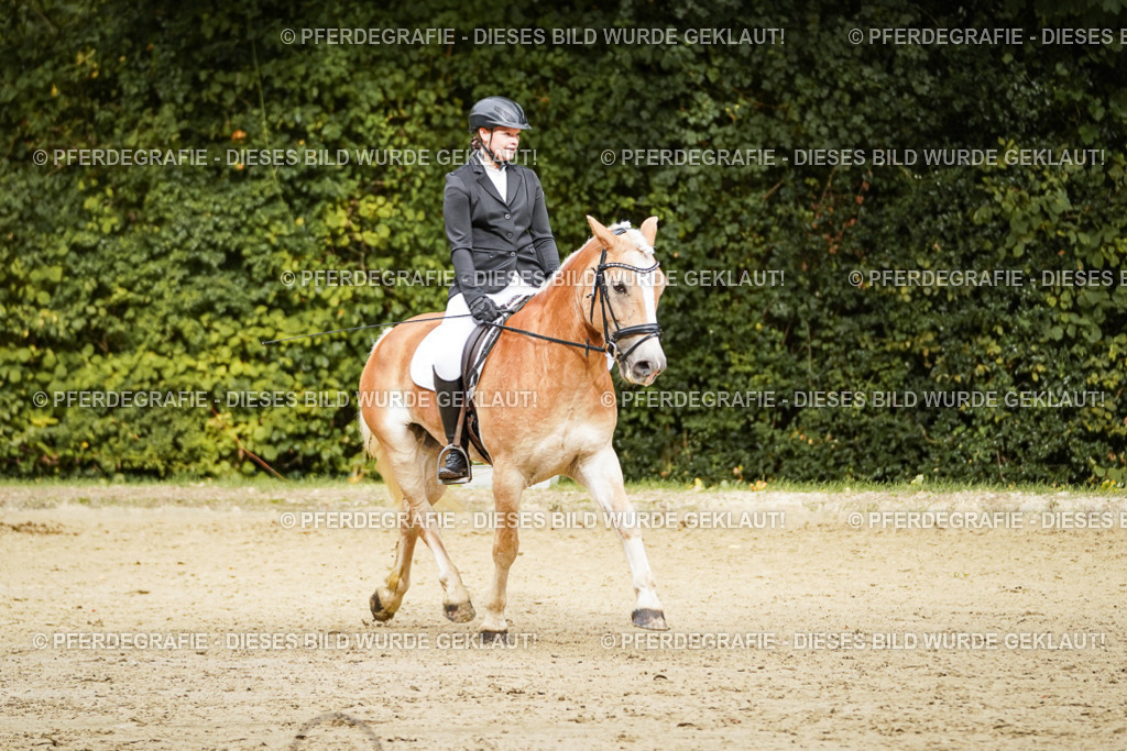 DSC00065 | Pferdegrafie