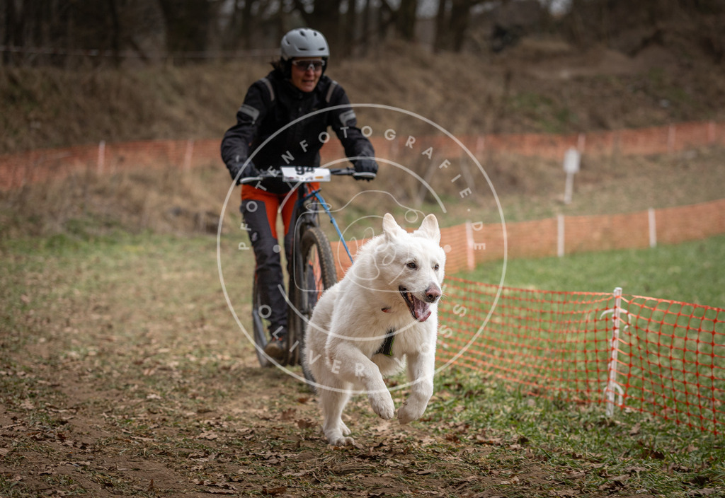 Pfotenfotografie_DV3A6915 | Hundefotografie, Tierfotograf, Pfotenfotografie, Fotoshooting Hund, Hunde Portrait, Hundesport, Hundeportraits, Heideshooting, Hunde, Sportfotograf, Hundefotograf, Turnierhundsport, THS,  - Realisiert mit Pictrs.com