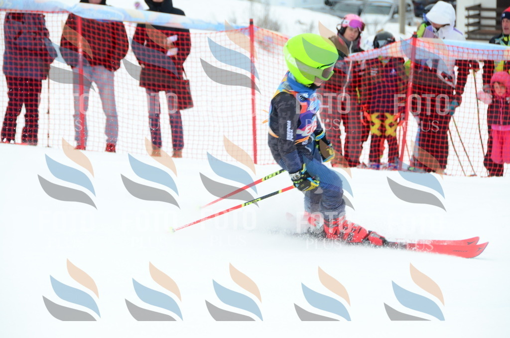 DSC_1710 | holidayphoto