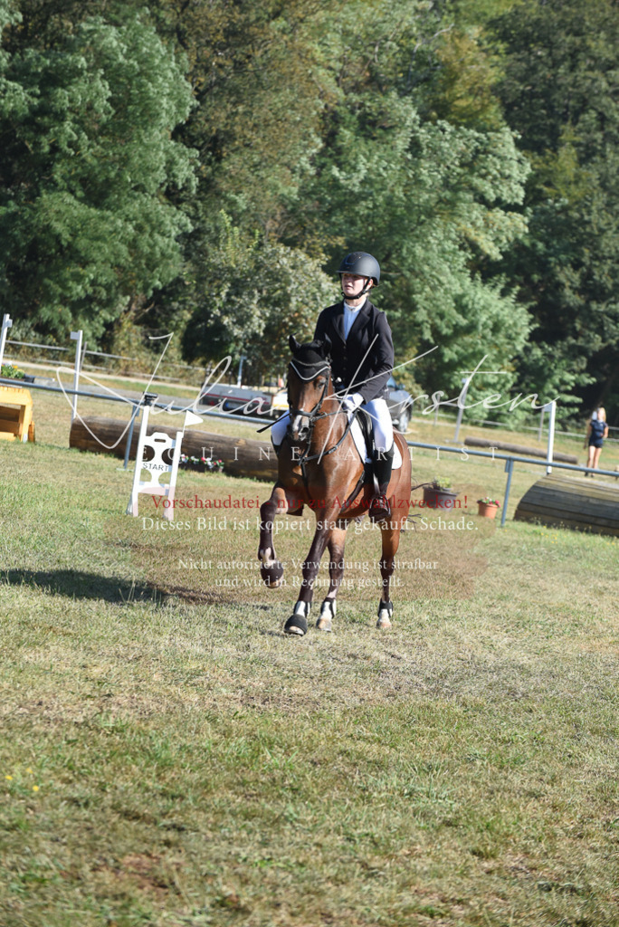 DSC_5421 | Pferde- und Turnierfotografie in Westsachsen. Pferdeportraits, Auftragszeichnungen und intuitive Kunst.