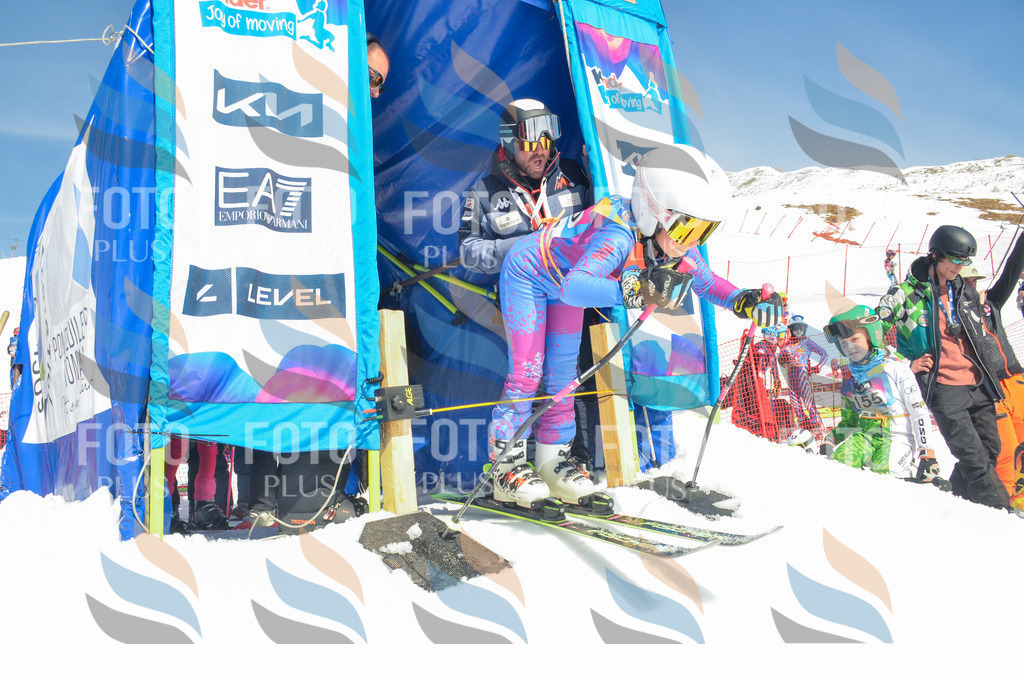 _ELE6004 | holidayphoto