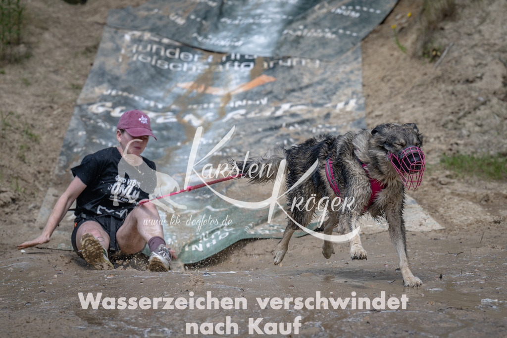 1458_ZZ91455 | kk-dogfotos