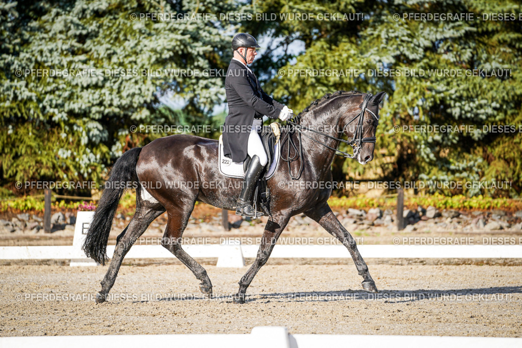 DSC00673 | Pferdegrafie