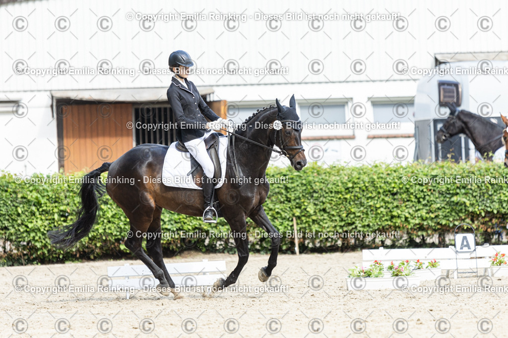 CL5A6155-2 | Emilia Reinking Fotografie - Realisiert mit Pictrs.com