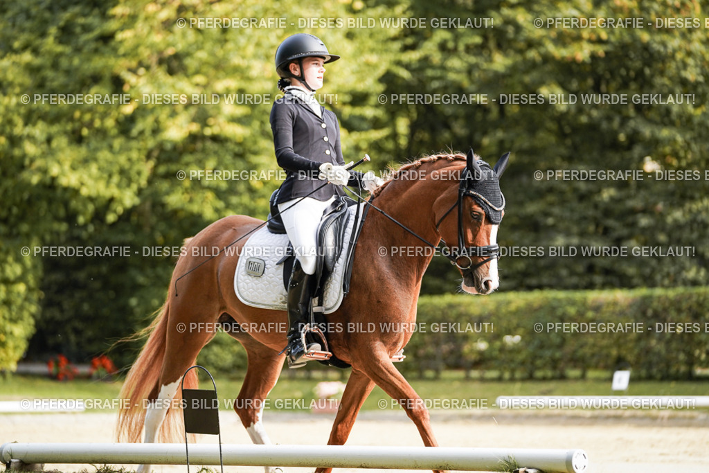 DSC05966 | Pferdegrafie