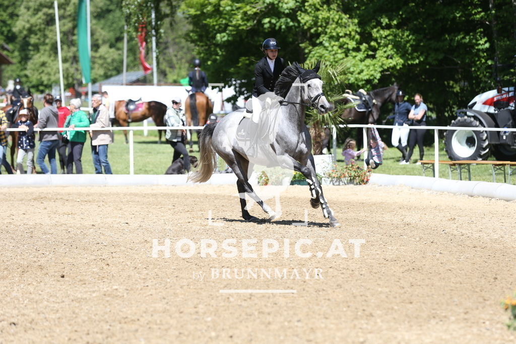 DL2Q1052 | Willkommen bei Brunnmayr - Design & Fotografie – Ihrem Spezialisten für Reitturniere und Pferdeveranstaltungen in Oberösterreich, Salzburg und Bayern! Seit über 17 Jahren sind wir leidenschaftlich dabei.