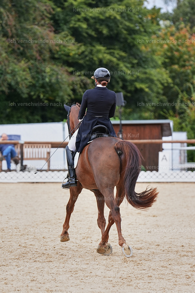 11-141-Dressur S___-Marixx-1821 | working equitationturnier fotograf videograf stoibphotography marixx film working equitation deutschland reitsport turnierfotografie eventfotografie equestrian events