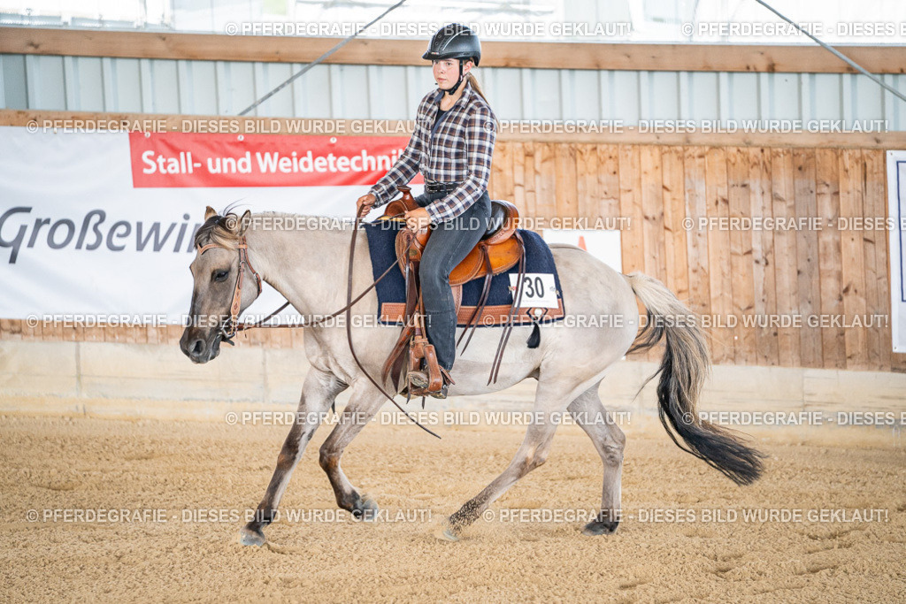 DSC01845 | Pferdegrafie