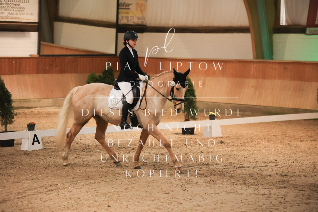 IMGT2938 | pl-fotografie