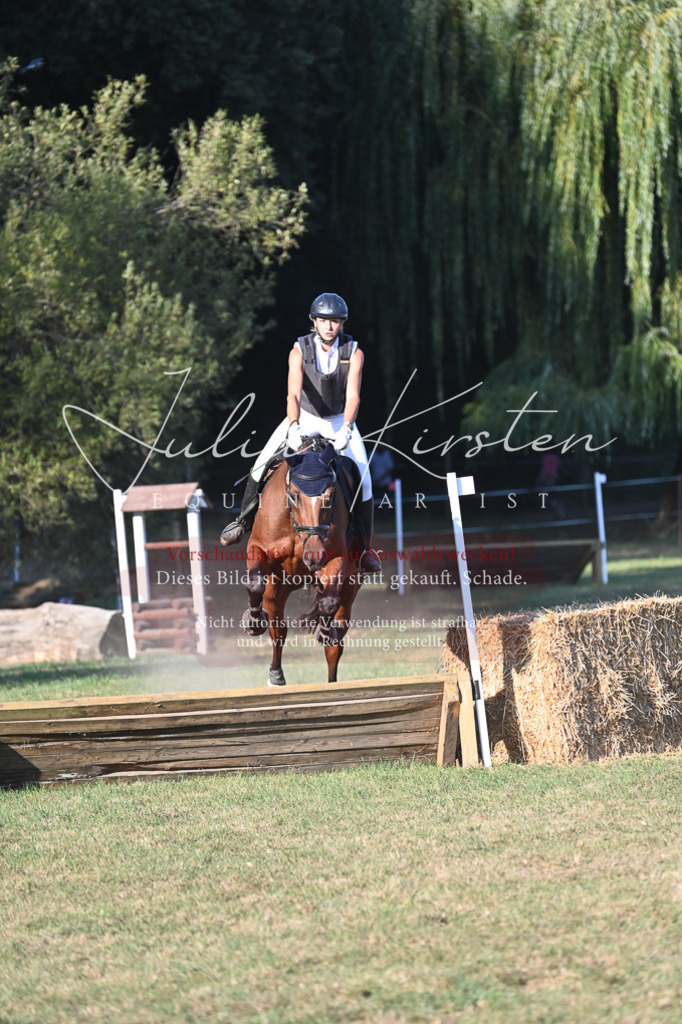 DSC_9116-2 | Pferde- und Turnierfotografie in Westsachsen. Pferdeportraits, Auftragszeichnungen und intuitive Kunst.