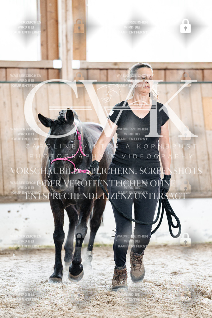 CK908354 | Turnierfotografie Pferdefotografie Trier Rheinland-Pfalz Pferdesport Reitsport Tierfotografie Sportfotografie Pferdevideo Pferdevideografie Equestrianvideography equestrianphotography  - Realisiert mit Pictrs.com