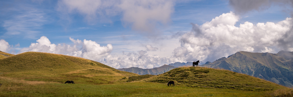 rauris_2-408 | <div id="allefotografen-seal-verified-green"></div><script src="https://www.allefotografen.de/956728/seal-verified-green/seal.js" async="async"></script> - Realisiert mit Pictrs.com