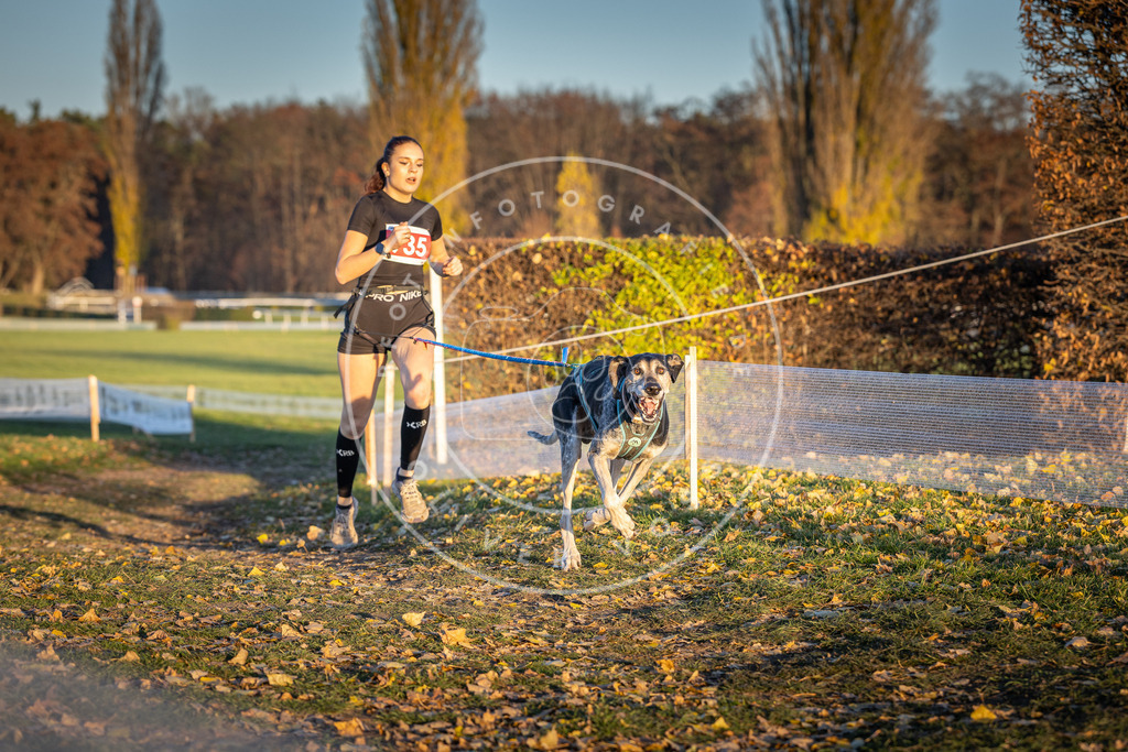 CaniXpix_DV3A5223 | Hundefotografie, Tierfotograf, Pfotenfotografie, Fotoshooting Hund, Hunde Portrait, Hundesport, Hundeportraits, Heideshooting, Hunde, Sportfotograf, Hundefotograf, Turnierhundsport, THS,  - Realisiert mit Pictrs.com