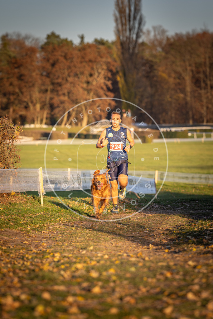 CaniXpix_DV3A4976 | Hundefotografie, Tierfotograf, Pfotenfotografie, Fotoshooting Hund, Hunde Portrait, Hundesport, Hundeportraits, Heideshooting, Hunde, Sportfotograf, Hundefotograf, Turnierhundsport, THS,  - Realisiert mit Pictrs.com