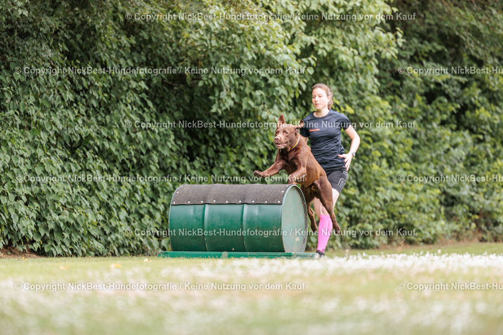 THS-Quakenbrück-2026-Nickbest-Hundefotografie-2012 | Dein Hund! Dein Moment! Deine Erinnerungen! Hundefotografie in Bremen Blumenthal. Ich fange die besonderen Momente deines Vierbeiners ein – ob Indoor mit Blitzanlage oder in der freien Natur. Sicher dir dein Moment und dein Termin für eure Erinnerungen.