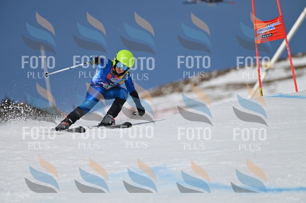 BGV_6595 | holidayphoto