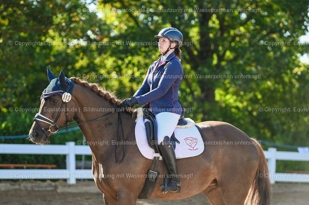 20230715_06_Dressurpferdeprfg. Kl.A_0122 | equistock