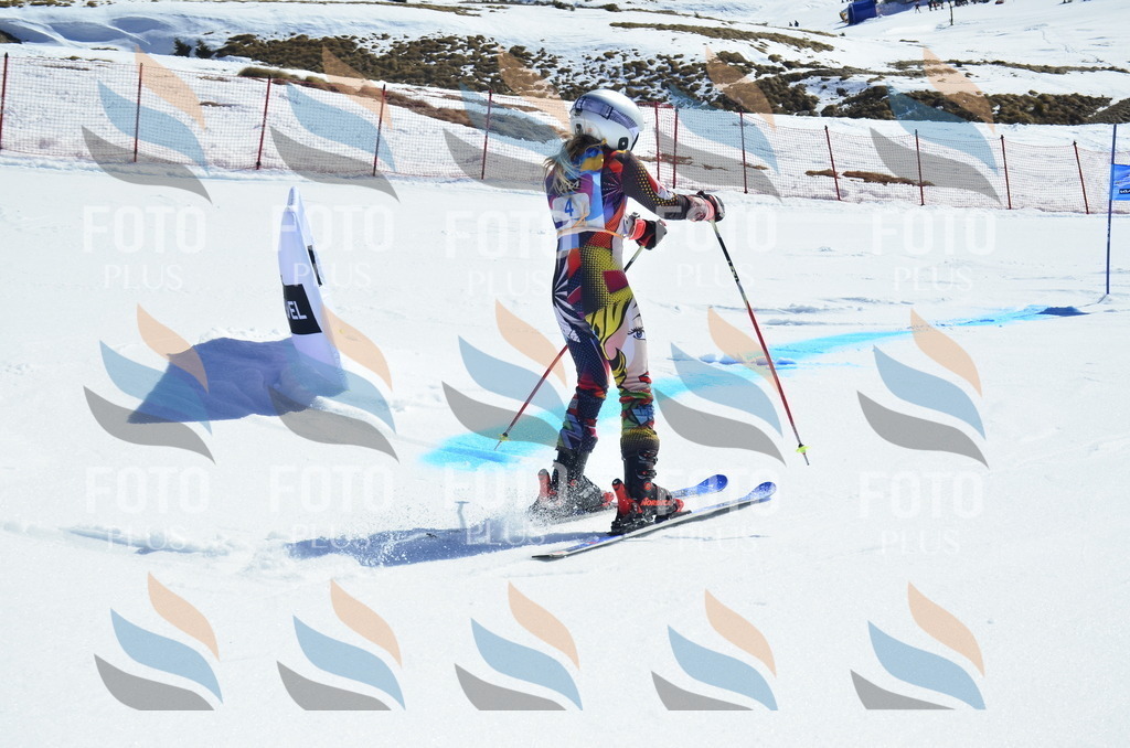 _ELE9726 | holidayphoto