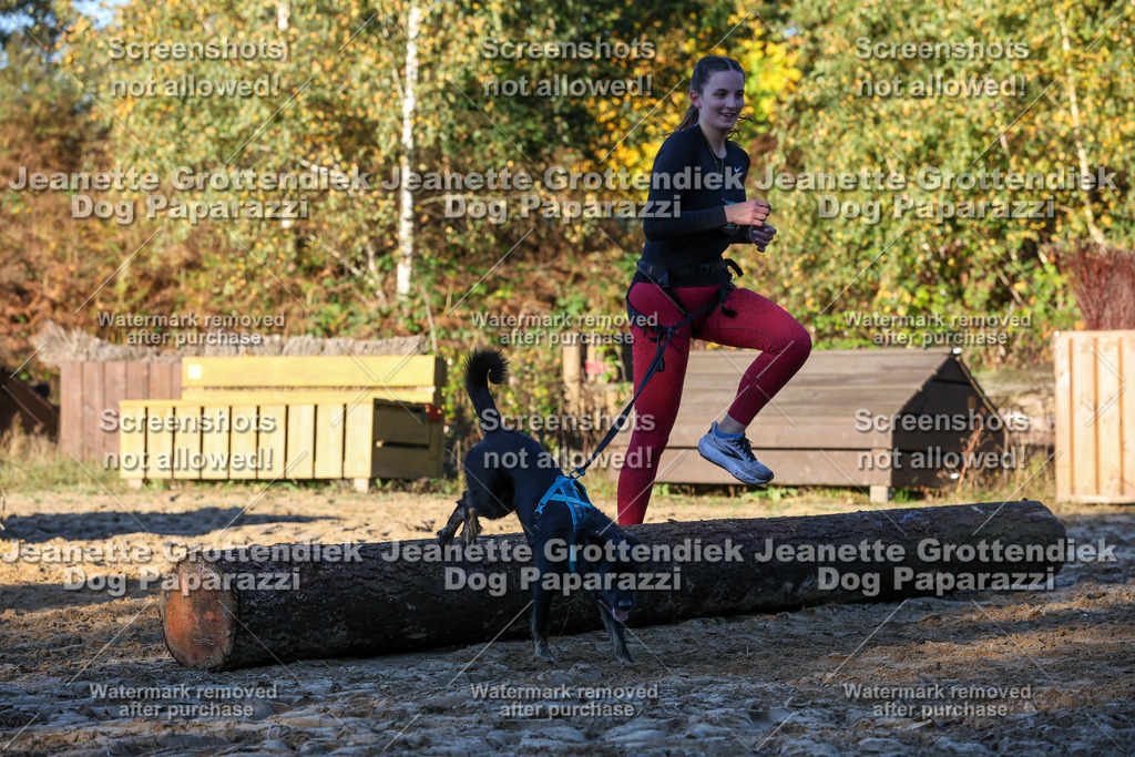 Dog Paparazzi - Strongdog 10-25-965 | Dog Paparazzi Jeanette Grottendiek Fotografie & Videografie - Realisiert mit Pictrs.com