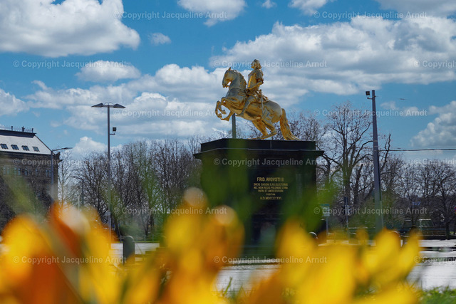 Generated image | Fotografie Photography Dresden Photoshooting  Fotoshooting Fotografin Dresdencity Bilder  Foto Dresdenvideos Kalender Postkarten Bilderdownload Portrait Hochzeitsfotografie Familienfotos Bewerbungsbilder Studiofotografie Fotograf Dresdenbilder Business - Realisiert mit Pictrs.com