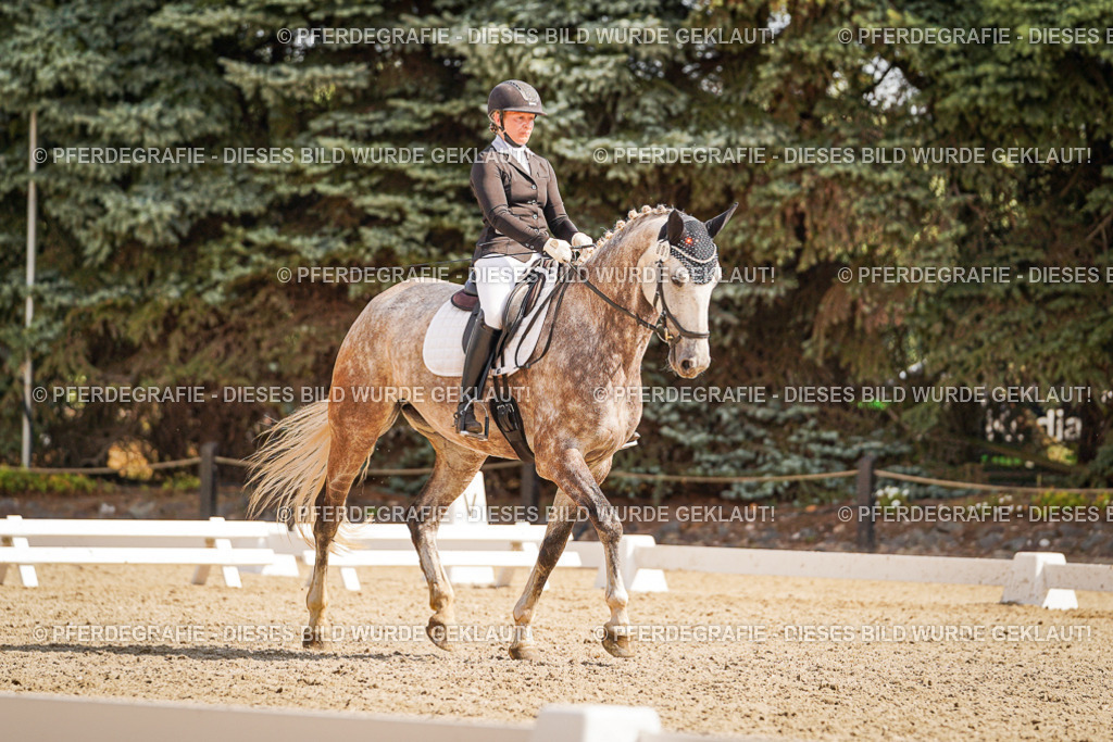 DSC01106 | Pferdegrafie