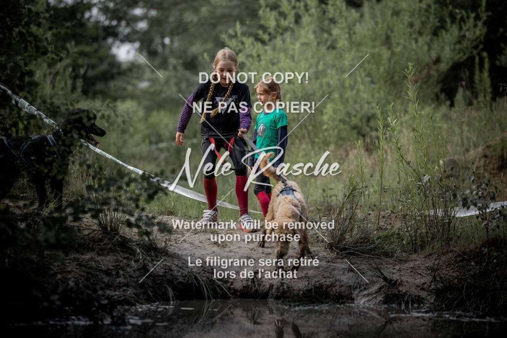 nelerasche_so0800-0930_40 | nelerasche