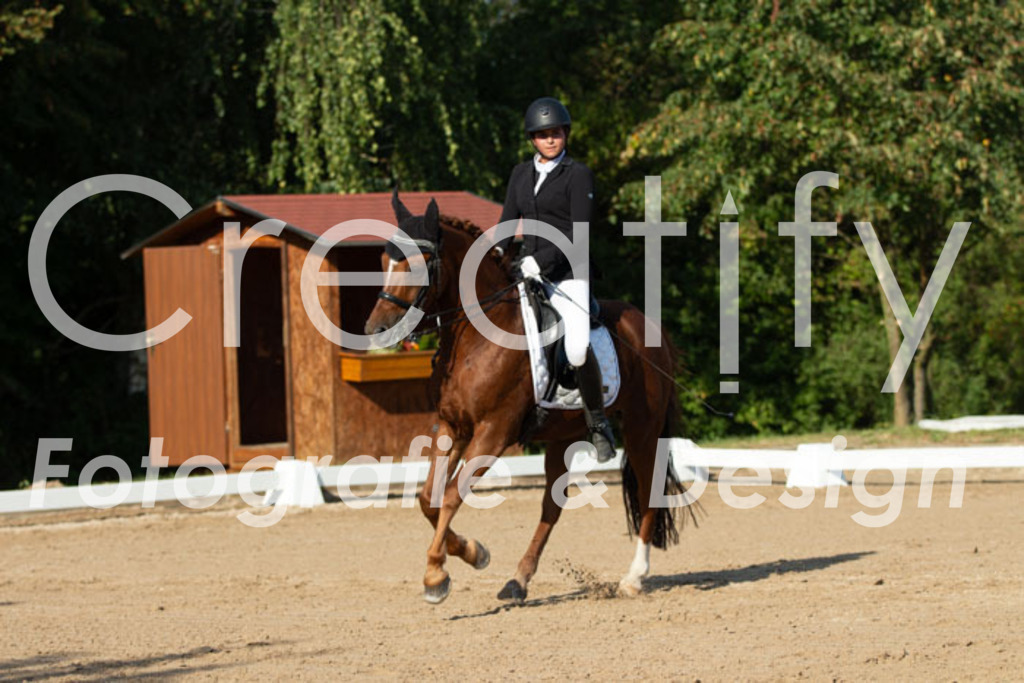 IMG_0742 | Creatify Fotografie