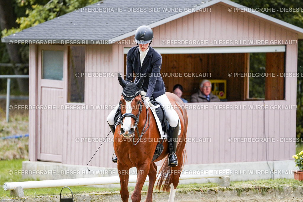 DSC00866 | Pferdegrafie