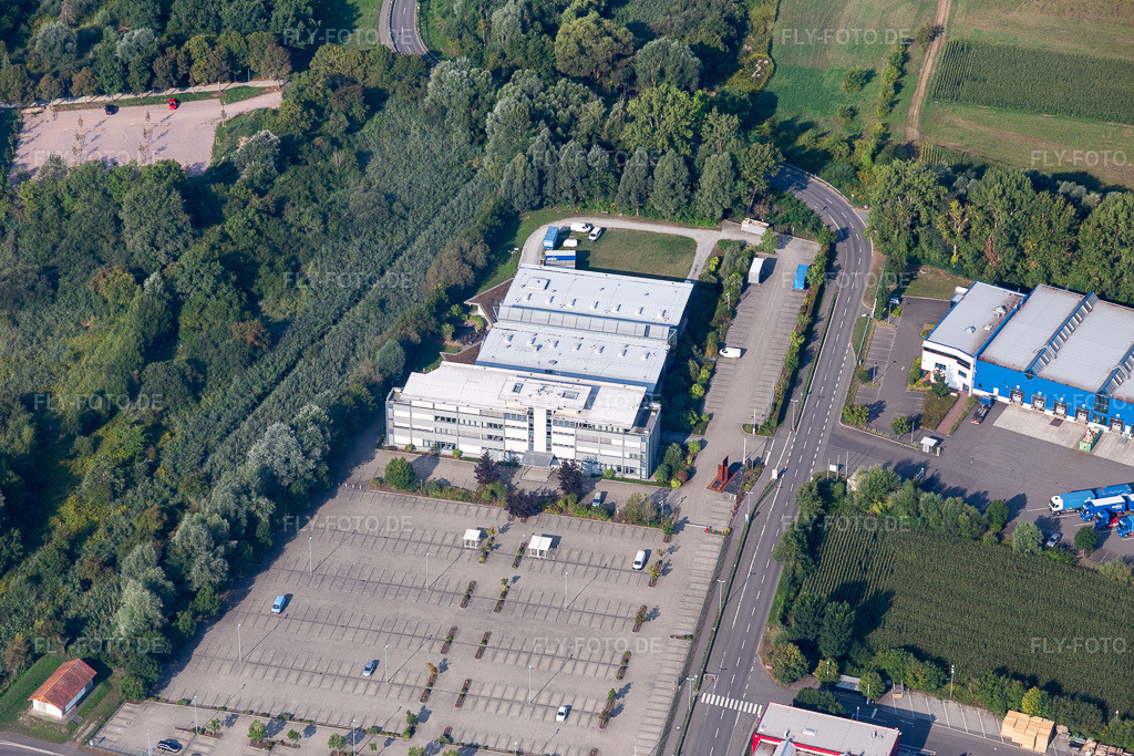 Luftbild: Nolte Holzwerkstoffe in Germersheim im Bundesland Rheinland-Pfalz in Deutschland. Foto: IMG_117259.jpg vom 25.08.2019 durch Werner Riehm/FLY-FOTO.de