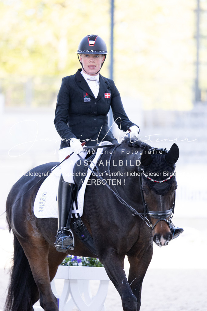 126A9398 | jasminmetznerfotografie