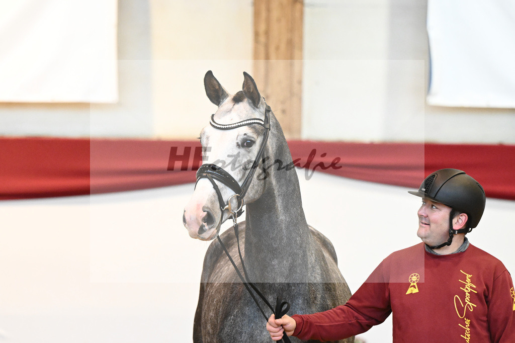 Kat-Nr. 4 Benicio x Livaldon_Schulze-Averdiek_43231550 | hf-fotografie - Realisiert mit Pictrs.com