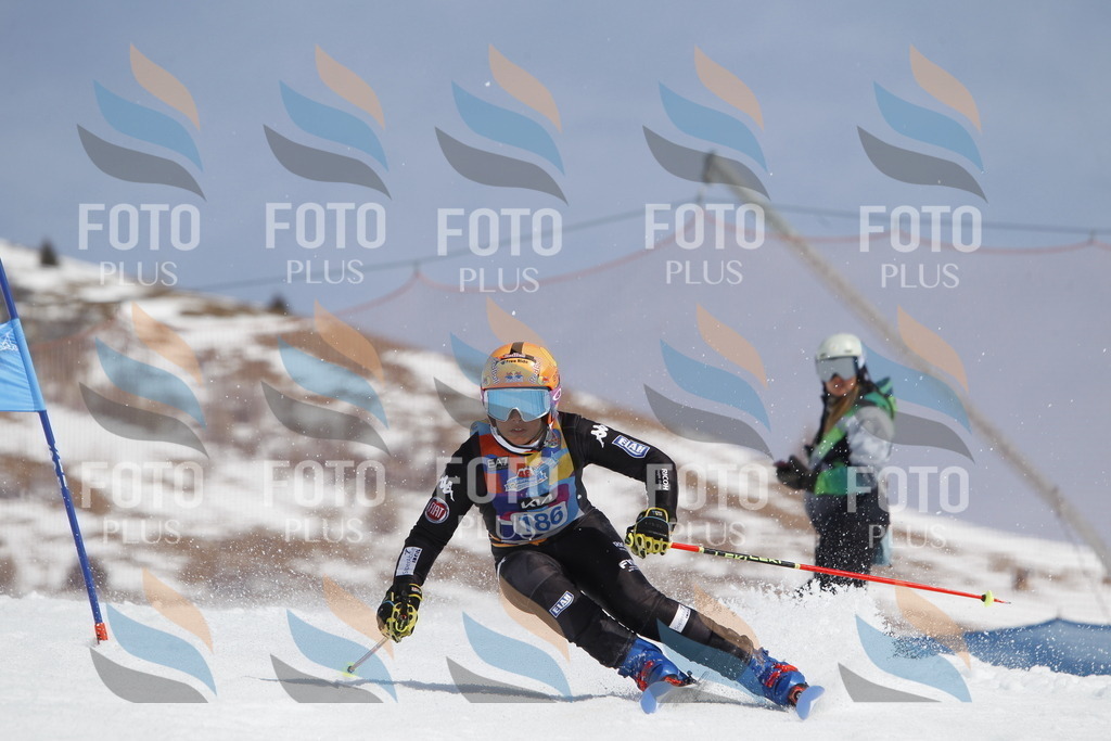 _U3G1827 | holidayphoto