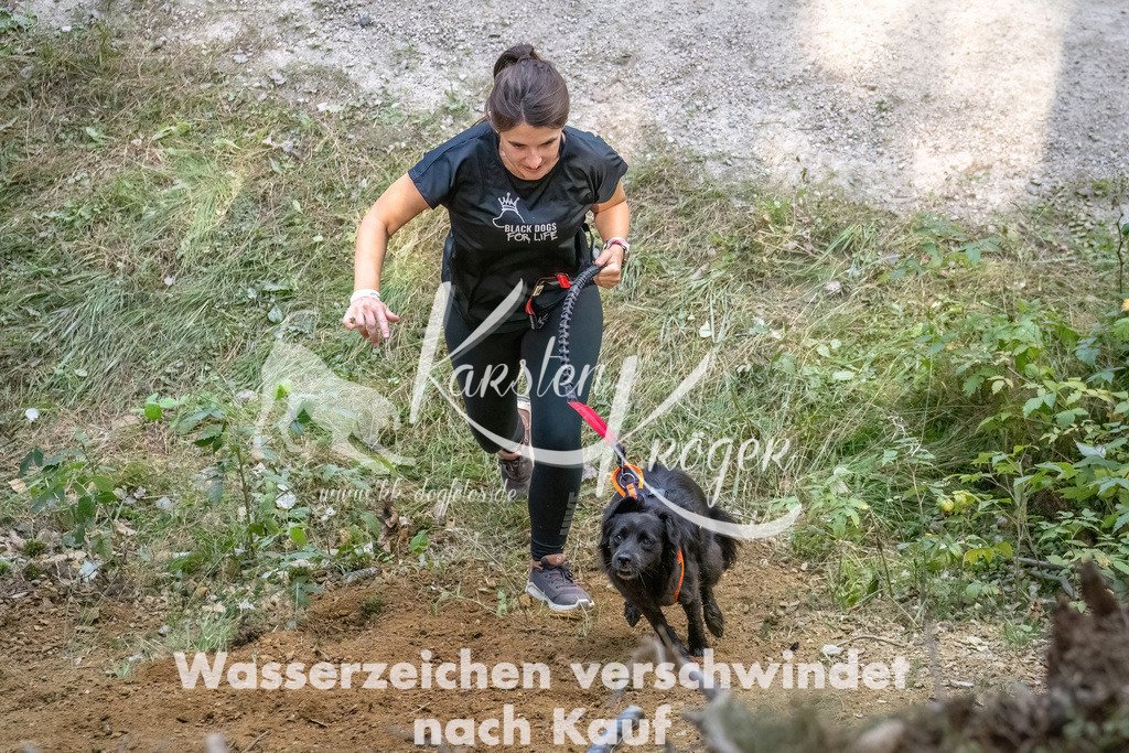 1050_ZZ92969 | kk-dogfotos