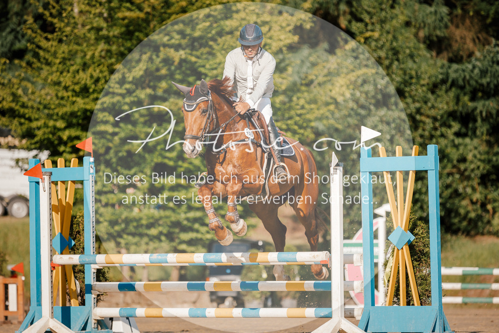 3I6A6076 | Stimmungsvolle Portraits und Reitsportfotografie im Ruhrgebiet und im Münsterland.

Pferdefotografie, Hundefotografie, Tierfotografie, Reportagen, Portraits von Tier und Mensch, Turnierfotografie in Bochum, Recklinghausen, Marl, Haltern am See, Dülmen.. - Realisiert mit Pictrs.com