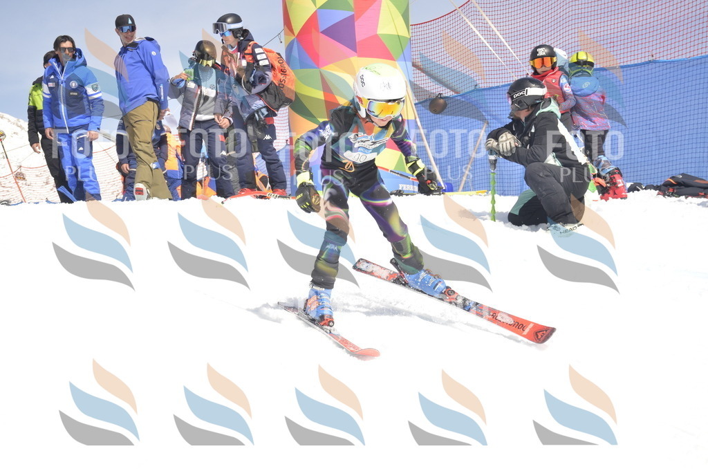 _ELE9276 | holidayphoto