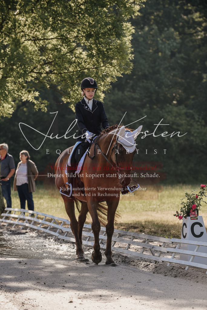 DSC_7671 | Pferde- und Turnierfotografie in Westsachsen. Pferdeportraits, Auftragszeichnungen und intuitive Kunst.