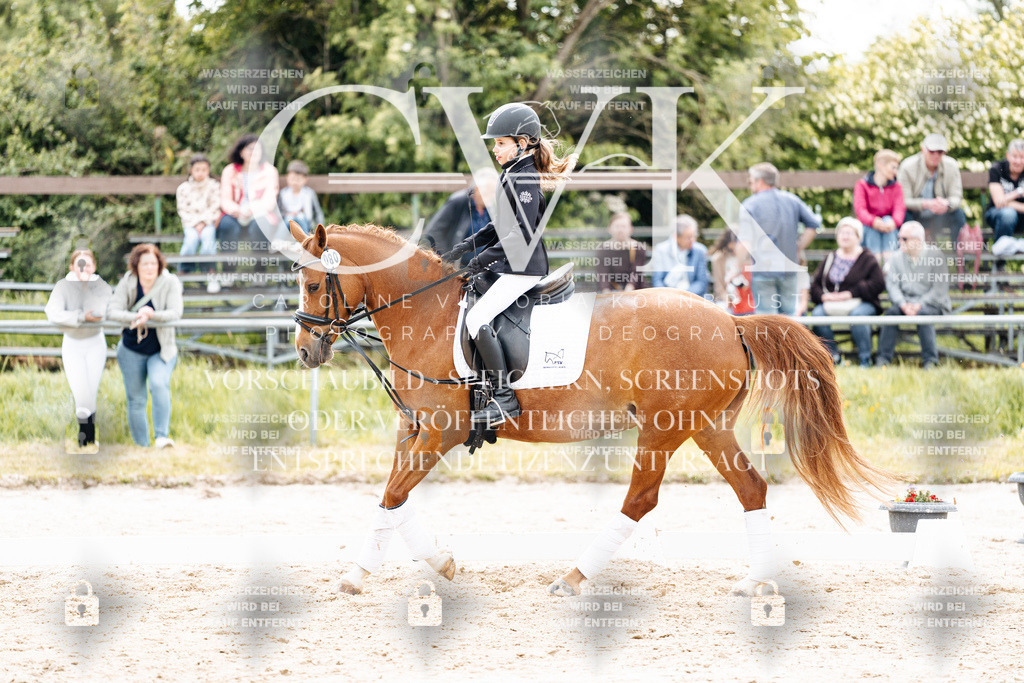 CK904582 | Turnierfotografie Pferdefotografie Trier Rheinland-Pfalz Pferdesport Reitsport Tierfotografie Sportfotografie Pferdevideo Pferdevideografie Equestrianvideography equestrianphotography  - Realisiert mit Pictrs.com