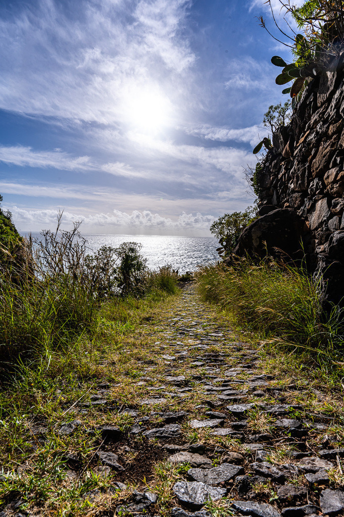 DSC05471 (27) | <meta name="keywords" content="Bergbilder, Hochzeitsfotografie, Actionshootings, Fotografiearbeiten, Berglandschaften, Naturfotografie">

 - Realisiert mit Pictrs.com