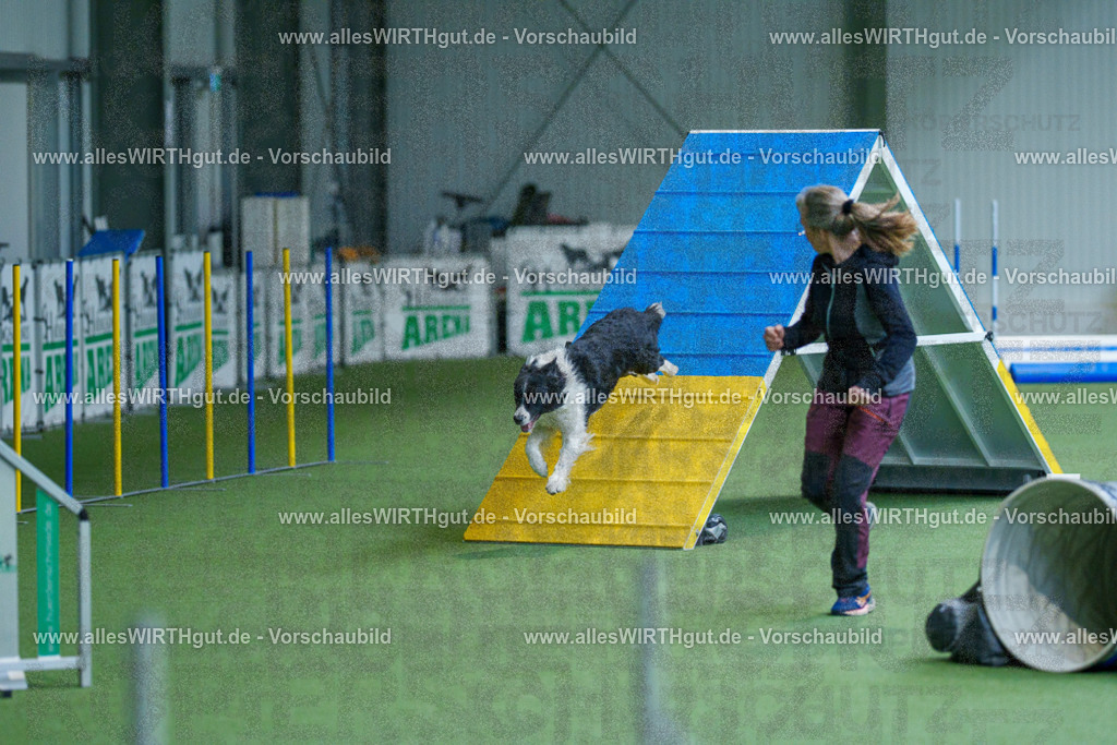 @allesWIRTHgut_Tierfotografie - www.allesWIRTHgut.de - 2604261531-7R505862 | Professionelle Tierfotografie in Mönchengladbach von Daniel Wirth (allesWIRTHgut). Liebevolle & natürliche Bilder von Hunden & Katzen für unvergessliche Erinnerungen.
