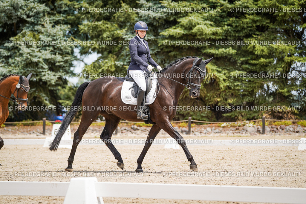 DSC03459 | Pferdegrafie