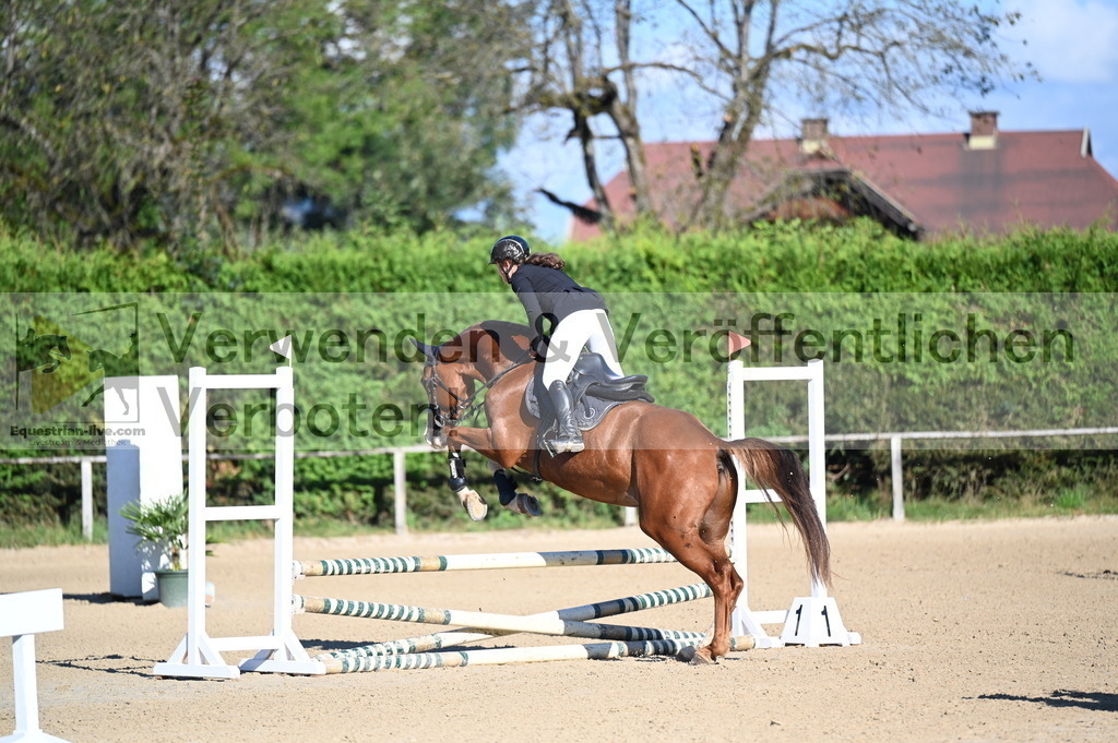 DSC_7838 | equestrian-live-com