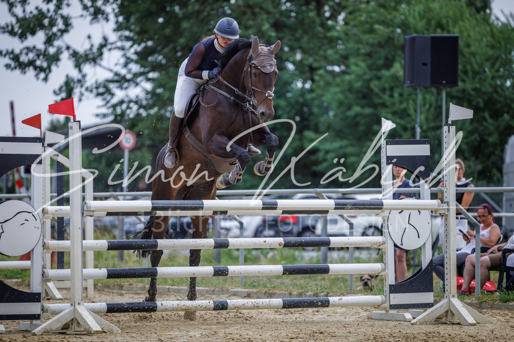 20260705-_3LI6678 | Tierfotografie Pferde, Hunde, Katzen, Haustiere.
Turnierfotografie Reitturniere, Reiten, Springreiten, Dressur in Hanau, dem Main-Kinzig-Kreis und dem Rhein-Main- Gebiet um Frankfurt