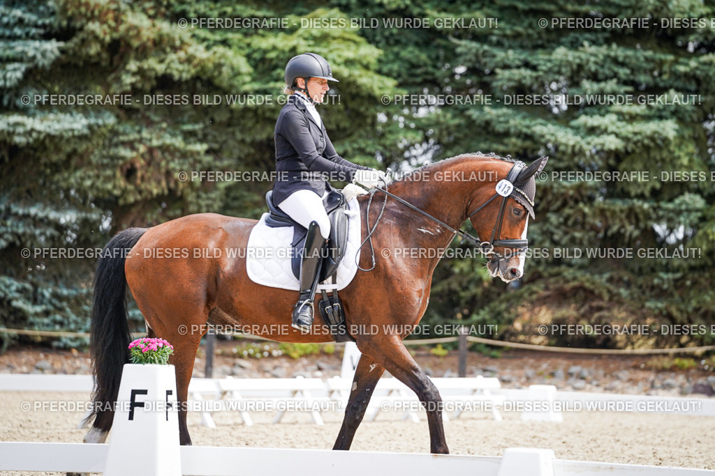 DSC00304 | Pferdegrafie